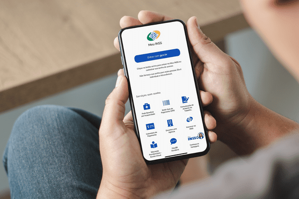 como conferir se o INSS está contando corretamente